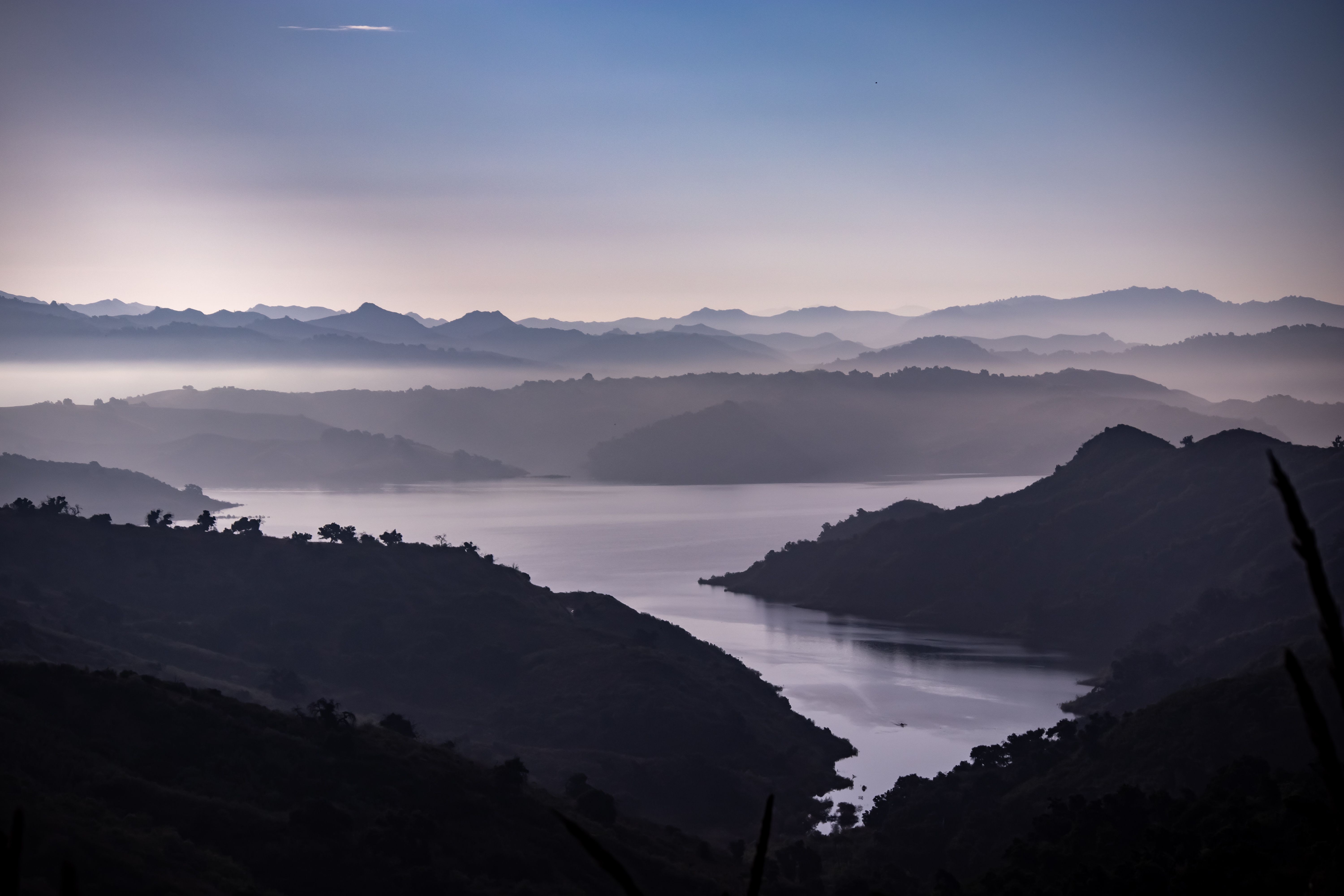 Wildlife Photography